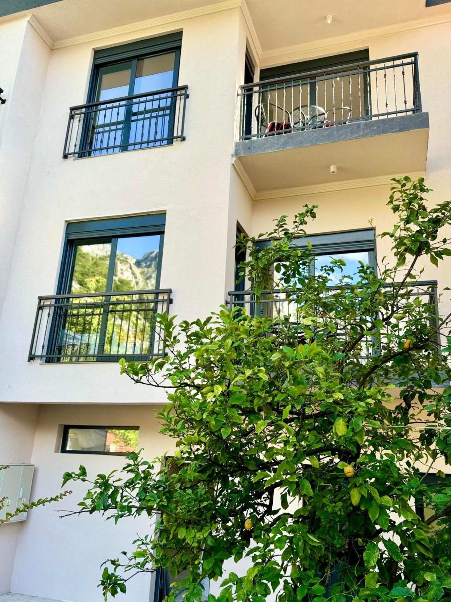 Harmony Garden Apartments Kotor Bagian luar foto